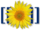 MediaWiki